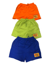 Load image into Gallery viewer, “Have a nice day” Swim shorts